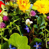 Organic Salad Box ~ €20 - Annie's Farm Produce