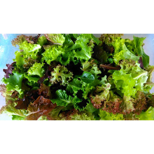 Organic Mixed Salad Leaves 500g - Annie's Farm Produce