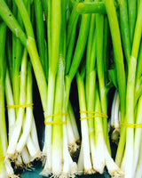 Organic Salad Box ~ €20 - Annie's Farm Produce