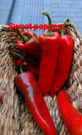 Organic Salad Box ~ €20 - Annie's Farm Produce