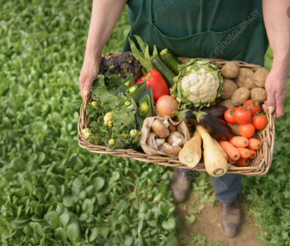Tipperary Veg Box Delivery €55 box Large (N.B Check map area for delivery) - Annie's Farm Produce
