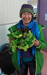 Organic Salad Box ~ €20 - Annie's Farm Produce