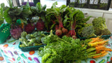 Copy of Christmas Organic Veg Box ( 10-12 people ) - Annie's Farm Produce 
